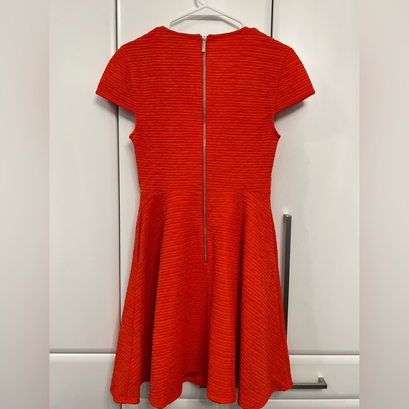 ✨TED BAKER✨ Seam Detail Texture Jersey Dress - NWT - Brand New - Picture 3 of 6